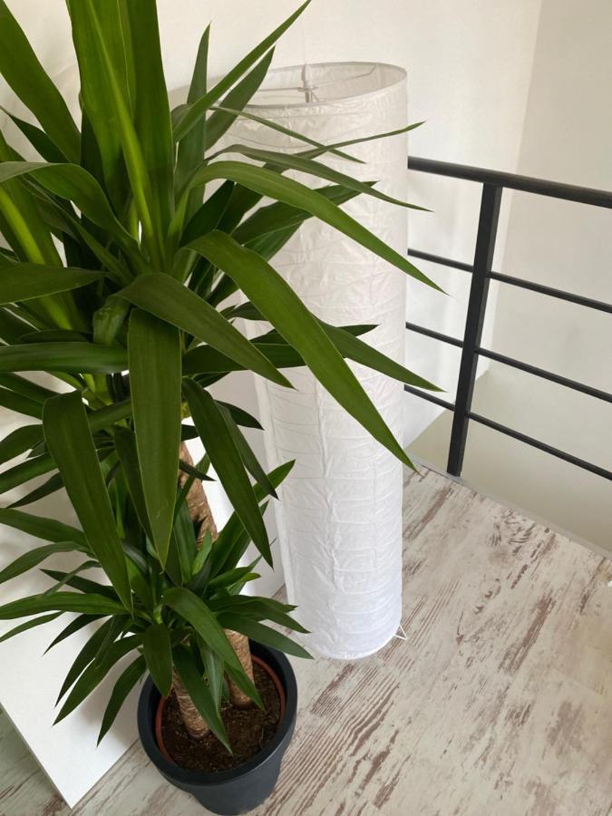 Hisa Megiclinic - Apartments & Healing Center كوباريد المظهر الخارجي الصورة