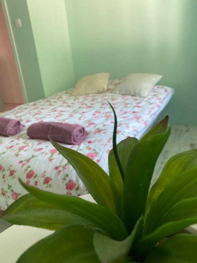 Hisa Megiclinic - Apartments & Healing Center كوباريد المظهر الخارجي الصورة