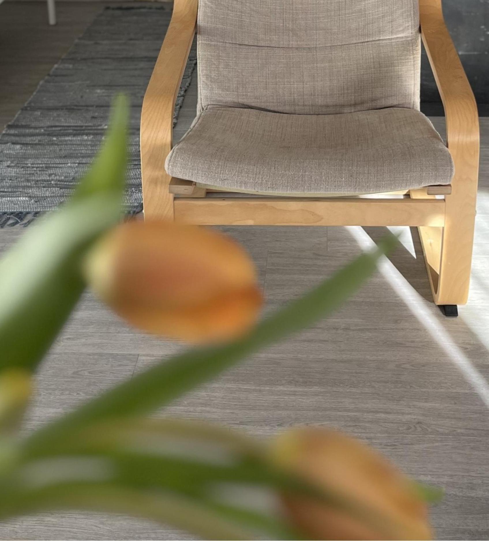 Hisa Megiclinic - Apartments & Healing Center كوباريد المظهر الخارجي الصورة