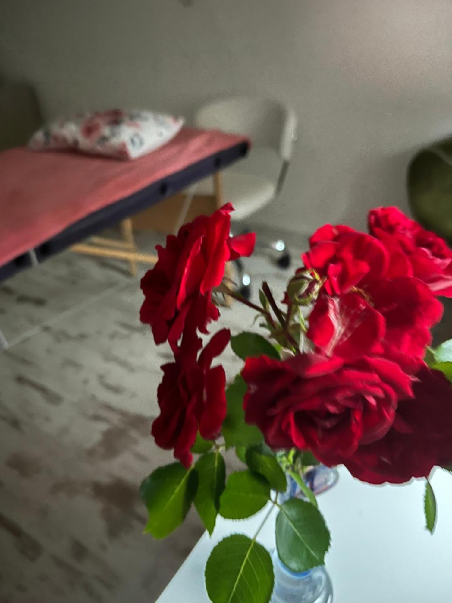 Hisa Megiclinic - Apartments & Healing Center كوباريد المظهر الخارجي الصورة